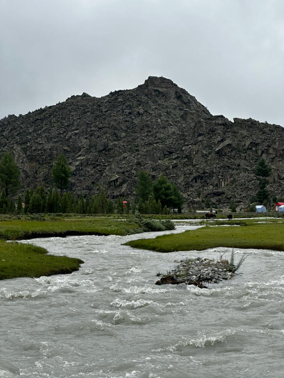 Gallery image 6