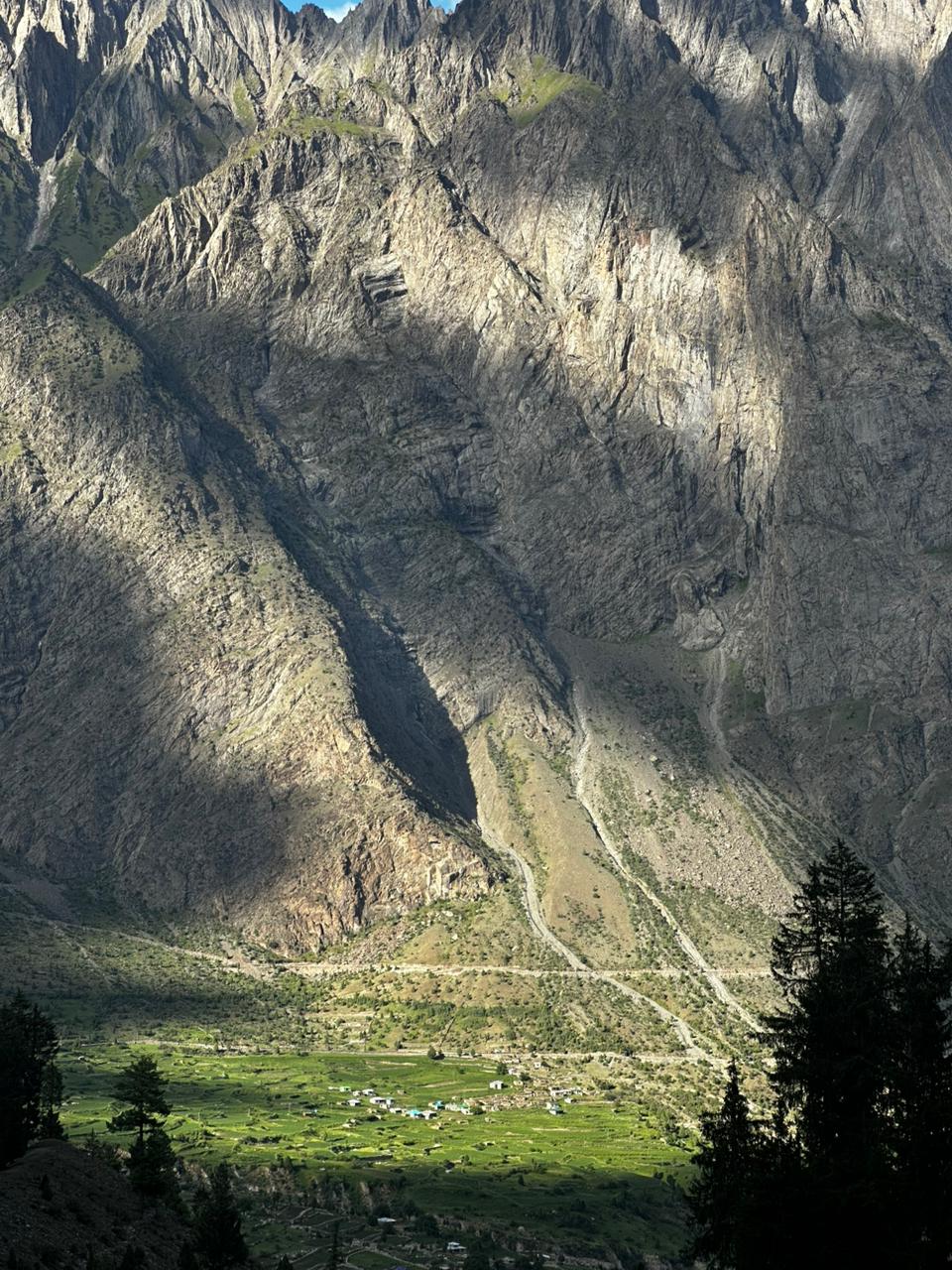 Gallery image 10